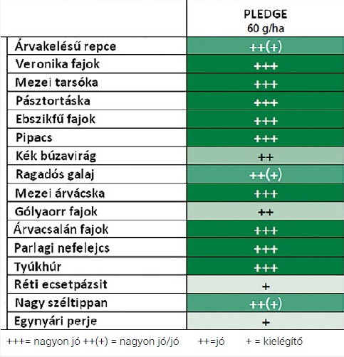 Jól bevált herbicidek őszi búzában, egy- és kétszikű gyomok őszi gyomirtására