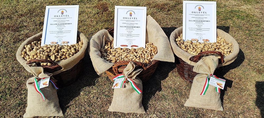 F&ouml;ldimogyor&oacute; &ndash;  A j&ouml;vő sz&aacute;razs&aacute;gtűrő n&ouml;v&eacute;nye