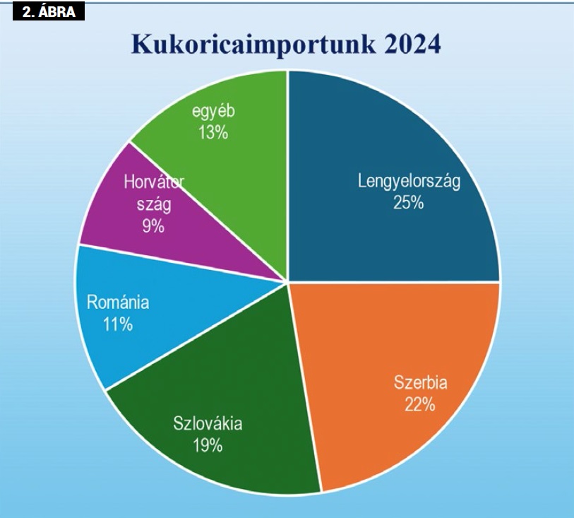 Kukoricáznak velünk a lengyelek – Együttműködés, agrárstratégia, kedvező földrajzi adottság
