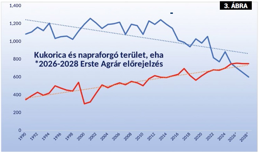 Kukoricáznak velünk a lengyelek – Együttműködés, agrárstratégia, kedvező földrajzi adottság