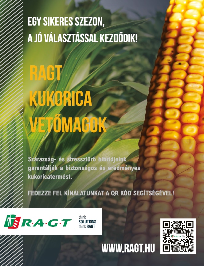 Kukoricáznak velünk a lengyelek – Együttműködés, agrárstratégia, kedvező földrajzi adottság