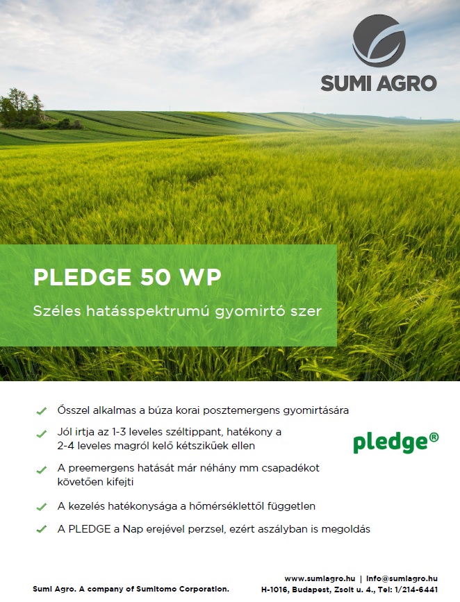 Jól bevált herbicidek őszi búzában, egy- és kétszikű gyomok őszi gyomirtására