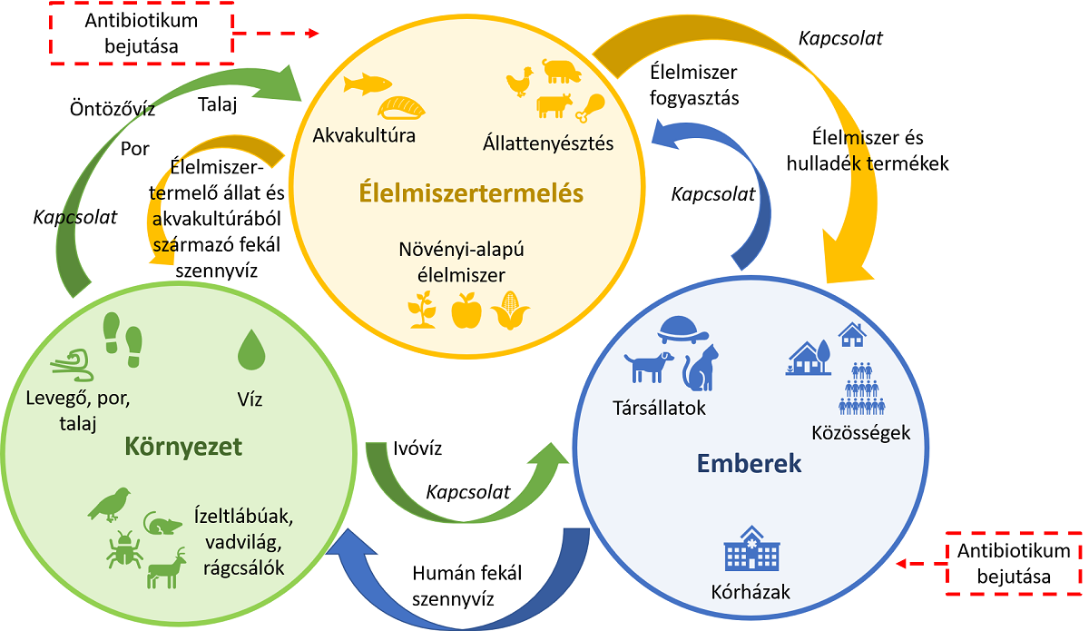 Elkezdődött az Antimikrobiális Rezisztencia Világhét 2025