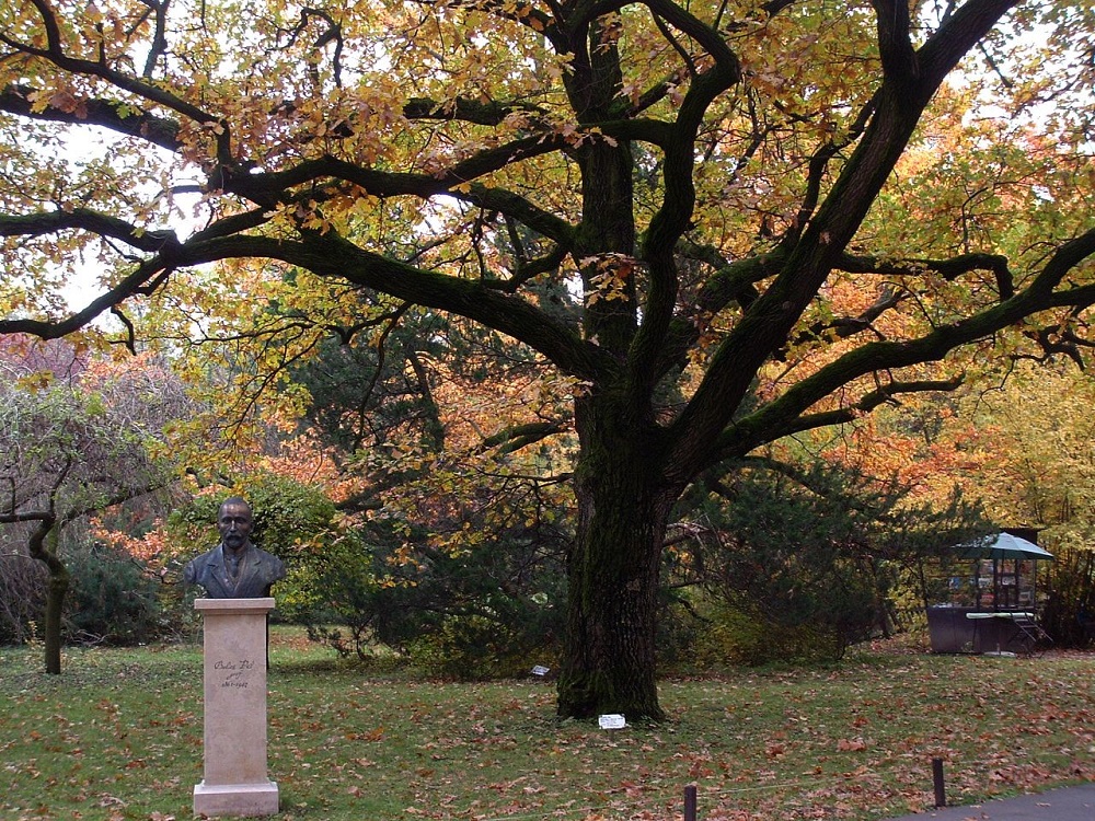 A Szarvasi Arborétum bekerült a Magyar Értéktárba