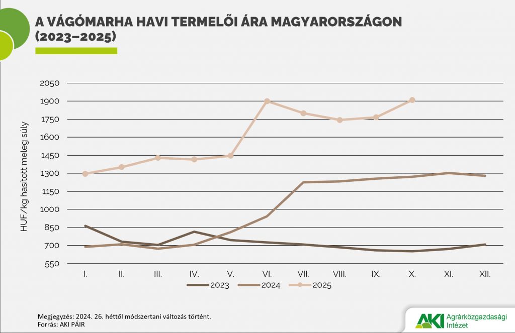 Közel 30 százalékkal nőtt a szarvasmarhavágások száma 2025 első kilenc hónapjában