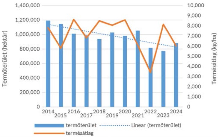 Lehetős&eacute;gek a kukoricatermeszt&eacute;sben &ndash; Tapasztalatok r&ouml;vid teny&eacute;szidejű (FAO 200-299) hibridekkel