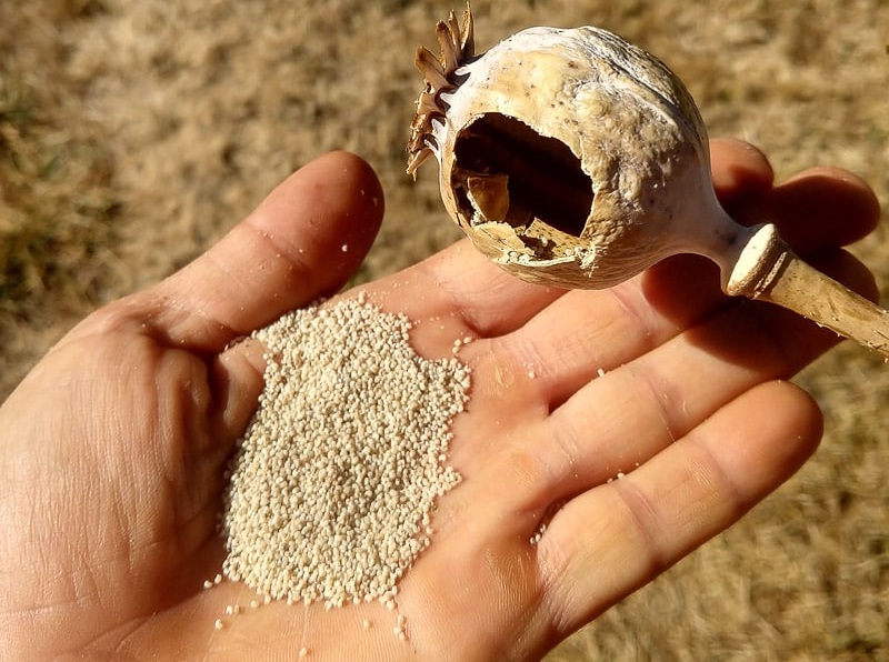 Feh&eacute;r m&aacute;k