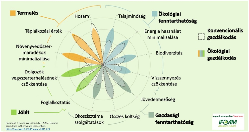 &Uacute;j &eacute;v, tiszta kezdet: ez&eacute;rt &eacute;rdemes t&ouml;bb bio&eacute;lelmiszert fogyasztani 