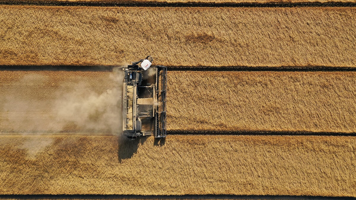 Portf&oacute;li&oacute;bőv&iacute;t&eacute;s a NEXAT-n&aacute;l &ndash; A modul&aacute;ris gazd&aacute;lkod&aacute;s 25%-kal olcs&oacute;bb a gazd&aacute;nak! 