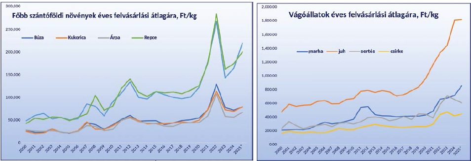 2025: ugródeszkán – Számadás a mögöttünk hagyott évre