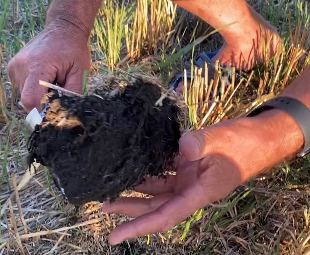 Nedvess&eacute;gmegőrz&eacute;s a HORSCH fejleszt&eacute;seivel