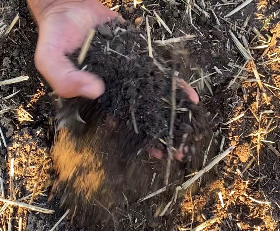 Nedvess&eacute;gmegőrz&eacute;s a HORSCH fejleszt&eacute;seivel