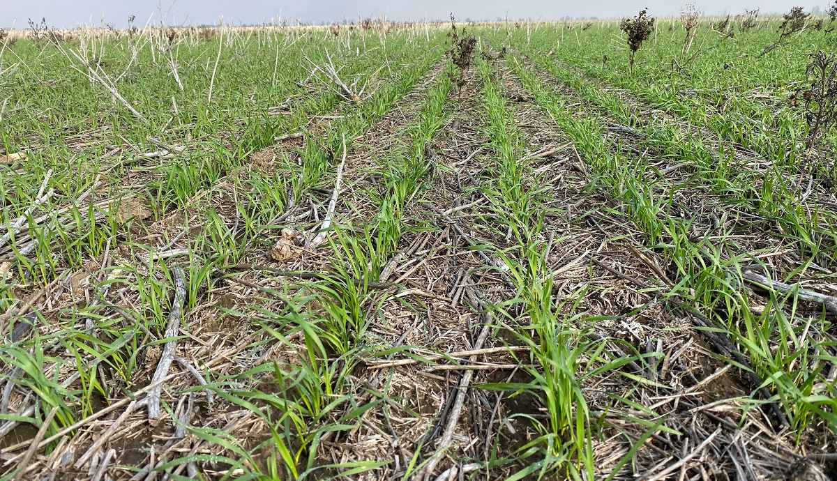 Nedvess&eacute;gmegőrz&eacute;s a HORSCH fejleszt&eacute;seivel