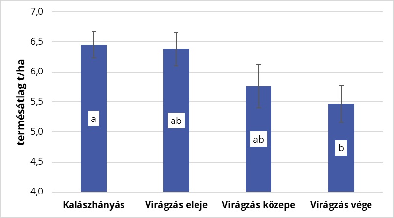 &Uacute;jabb revans a kal&aacute;szk&aacute;ros&iacute;t&oacute;kon &ndash; meg&uacute;jult REVANS csomagok a KITE k&iacute;n&aacute;lat&aacute;ban