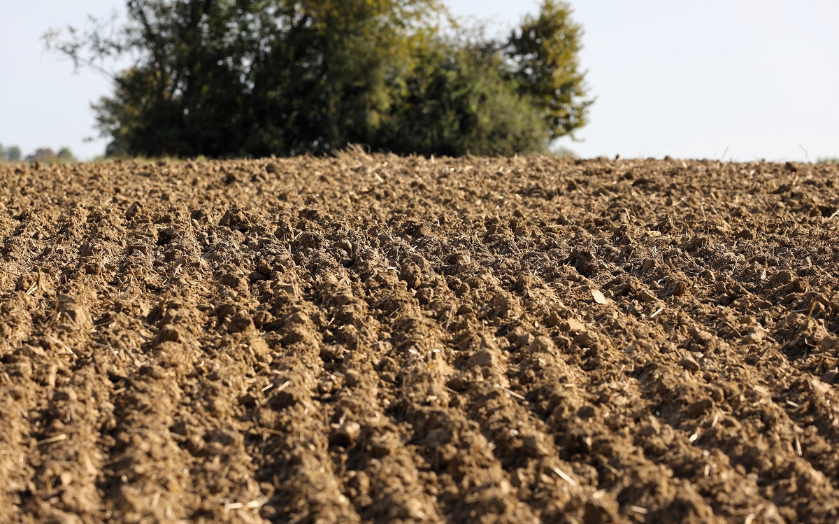 Talajvizsg&aacute;lat &eacute;s t&aacute;panyag-ut&aacute;np&oacute;tl&aacute;s tervez&eacute;se