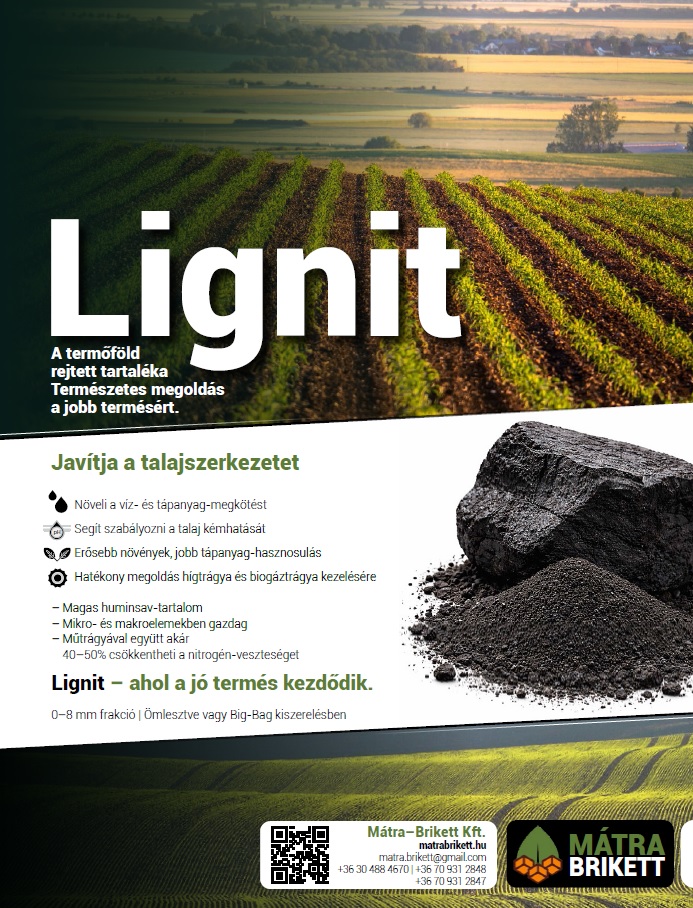 Diadal&uacute;ton a hazai lignit