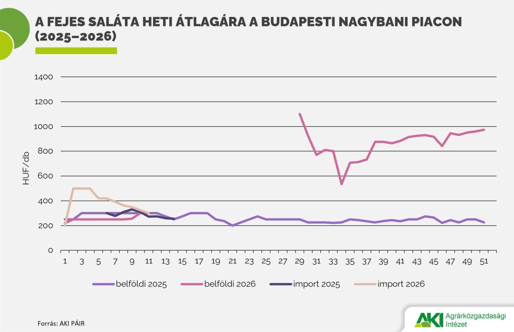 Olcsóbb lett a belföldi, drágább az import fejes saláta az év elején