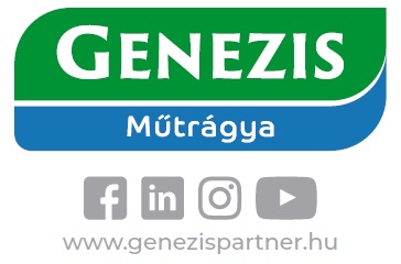 Fejtr&aacute;gy&aacute;z&aacute;s hat&eacute;konyan