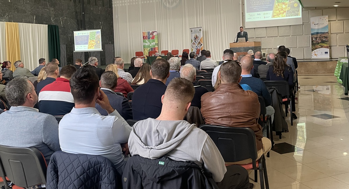 &Eacute;gető k&eacute;rd&eacute;sek az ipari z&ouml;lds&eacute;g term&eacute;kp&aacute;ly&aacute;n: a csemegekukorica &eacute;s z&ouml;ldbors&oacute; &aacute;gazat piaci kil&aacute;t&aacute;sai