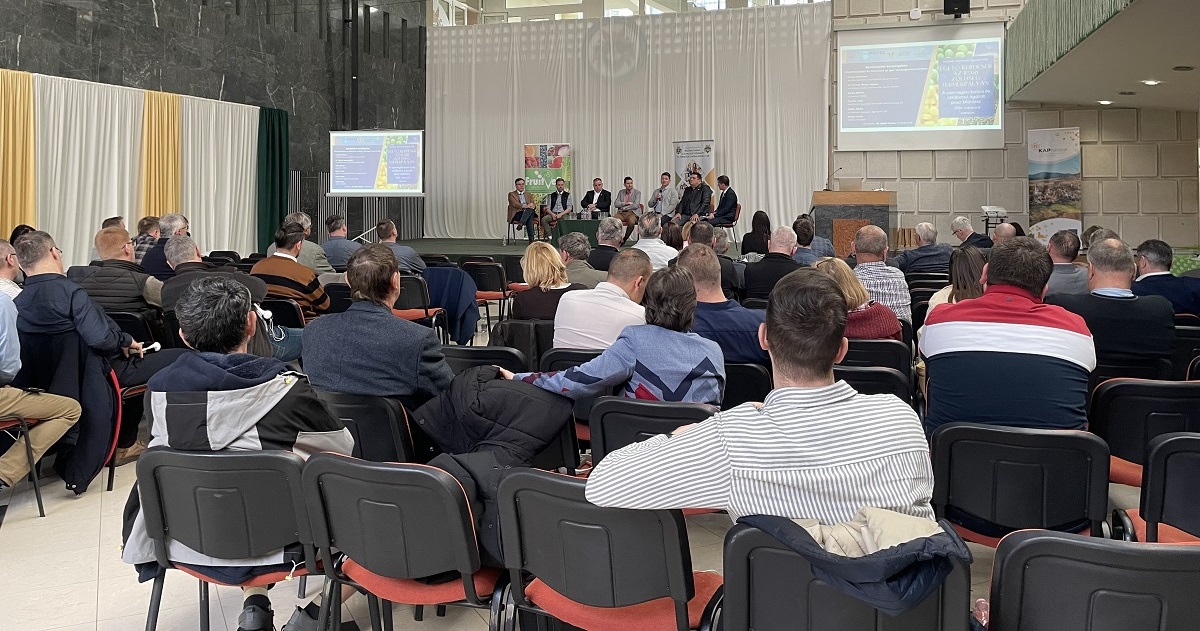 &Eacute;gető k&eacute;rd&eacute;sek az ipari z&ouml;lds&eacute;g term&eacute;kp&aacute;ly&aacute;n: a csemegekukorica &eacute;s z&ouml;ldbors&oacute; &aacute;gazat piaci kil&aacute;t&aacute;sai