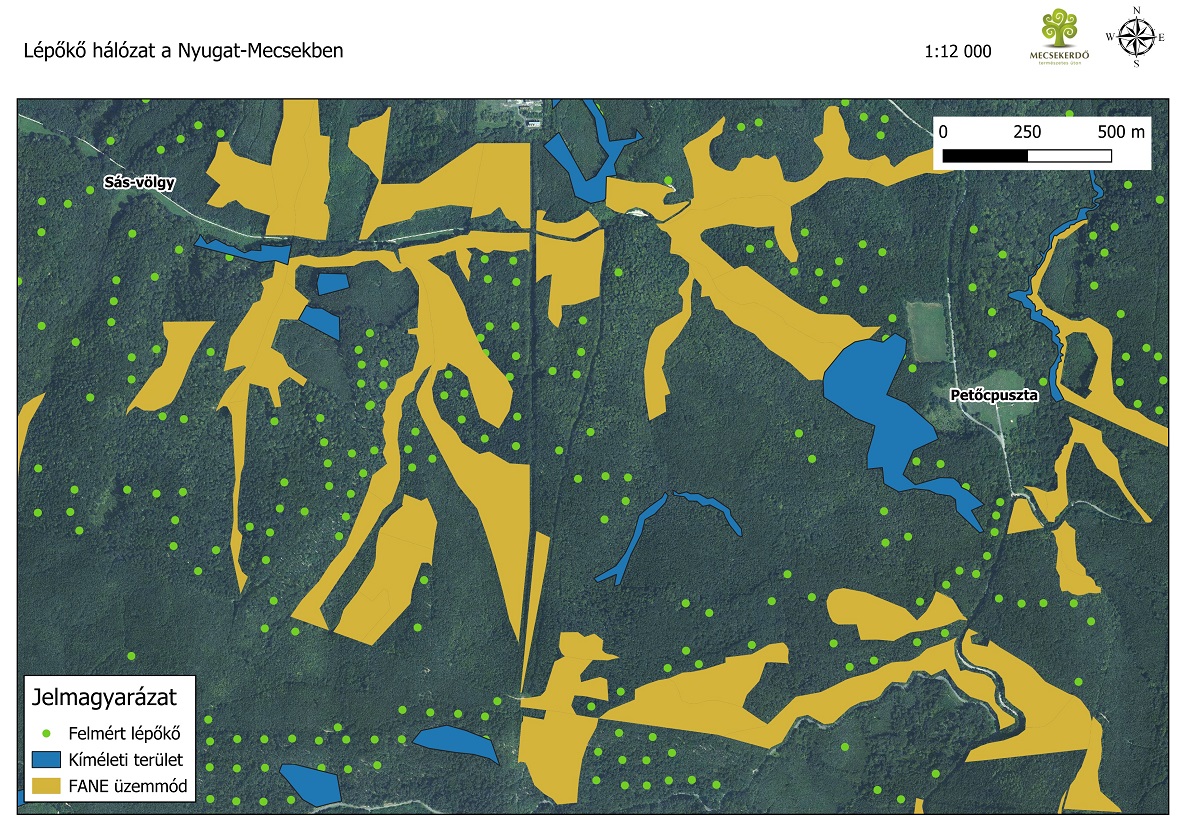 L&eacute;pők&ouml;vek az erdőben &ndash; &iacute;gy seg&iacute;ti a Mecsekerdő a biol&oacute;giai sokf&eacute;les&eacute;g fennmarad&aacute;s&aacute;t