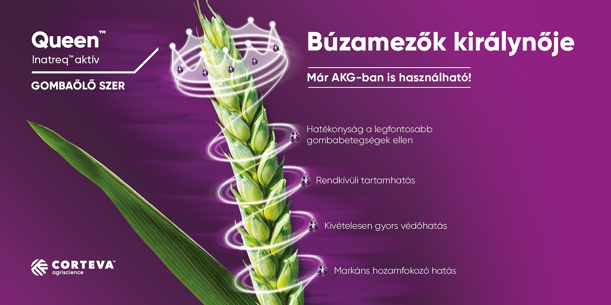 A megt&eacute;r&uuml;lő beavatkoz&aacute;sok szerepe a modern b&uacute;zatechnol&oacute;gi&aacute;kban