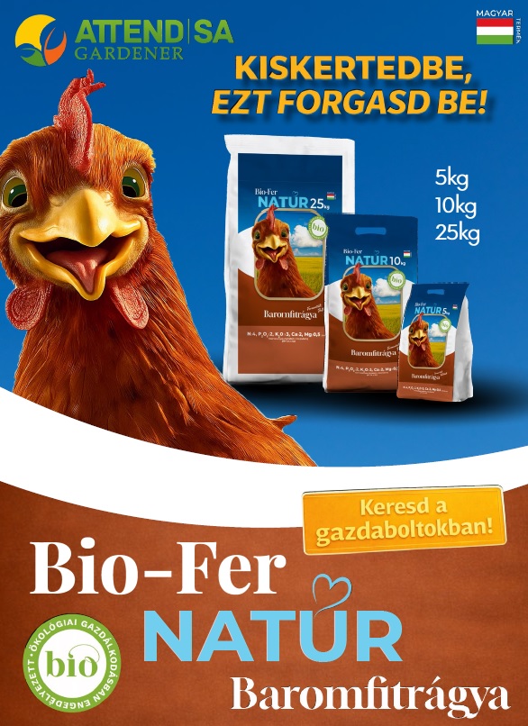 Föld hívja gazdát!