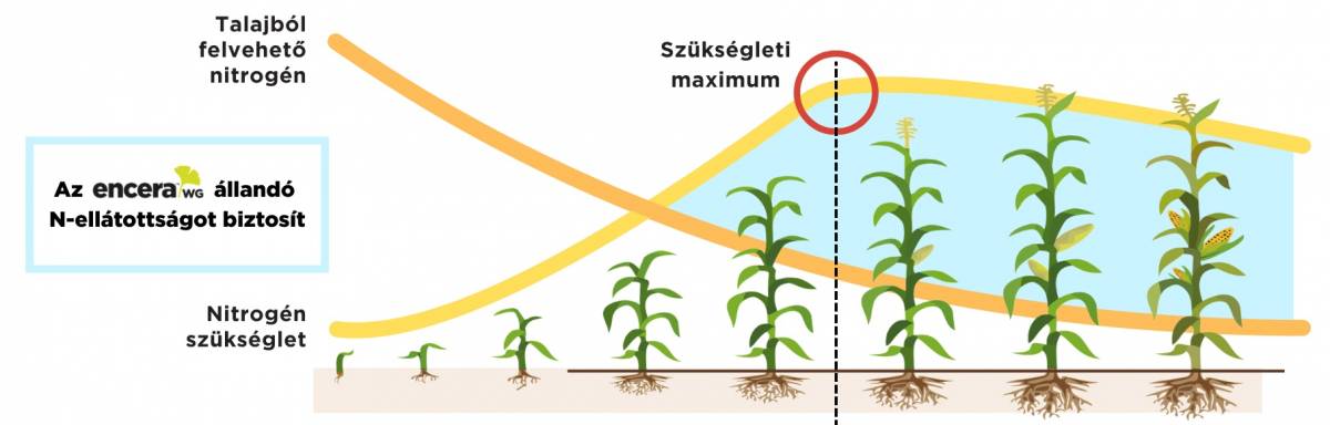 Nitrog&eacute;np&oacute;tl&aacute;s felsőfokon &ndash; &Uacute;j lehetős&eacute;g a kukorica &eacute;s a napraforg&oacute; n&ouml;v&eacute;nyek t&aacute;panyag-ut&aacute;np&oacute;tl&aacute;s&aacute;ban