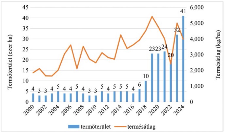 A szemescirok termeszt&eacute;se