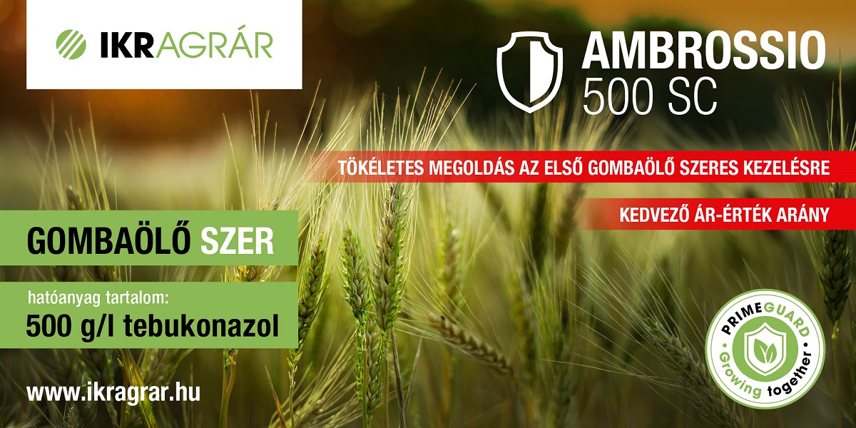 Kulcsfontoss&aacute;g&uacute; a megelőz&eacute;s a kal&aacute;szosok v&eacute;delm&eacute;ben 