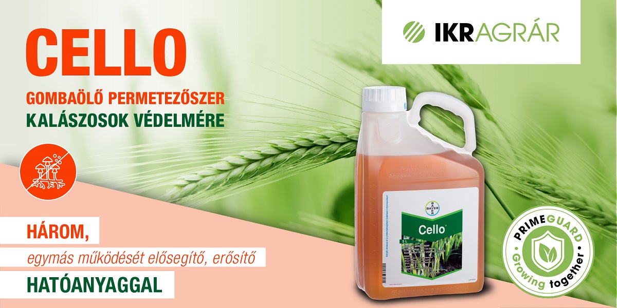 Kulcsfontoss&aacute;g&uacute; a megelőz&eacute;s a kal&aacute;szosok v&eacute;delm&eacute;ben 