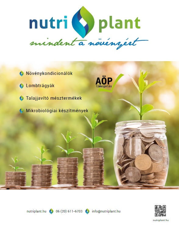 N&ouml;v&eacute;nykondicion&aacute;l&aacute;s &eacute;s lombtr&aacute;gy&aacute;z&aacute;s pr&eacute;mium minős&eacute;gű term&eacute;kekkel, megfizethető &aacute;ron