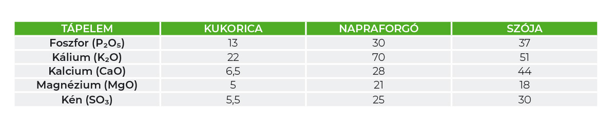Időszerű t&aacute;panyag-ut&aacute;np&oacute;tl&aacute;si feladatok kap&aacute;s kult&uacute;r&aacute;kban