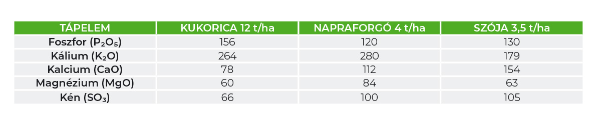 Időszerű t&aacute;panyag-ut&aacute;np&oacute;tl&aacute;si feladatok kap&aacute;s kult&uacute;r&aacute;kban