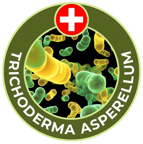 Időszerű t&aacute;panyag-ut&aacute;np&oacute;tl&aacute;si feladatok kap&aacute;s kult&uacute;r&aacute;kban