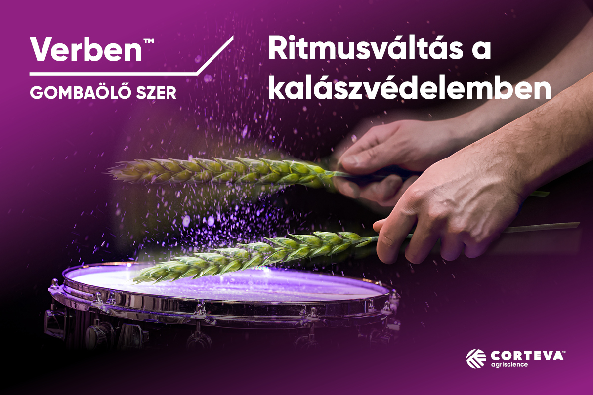 A b&uacute;zatermeszt&eacute;s n&ouml;v&eacute;nyv&eacute;delmi fin&aacute;l&eacute;ja