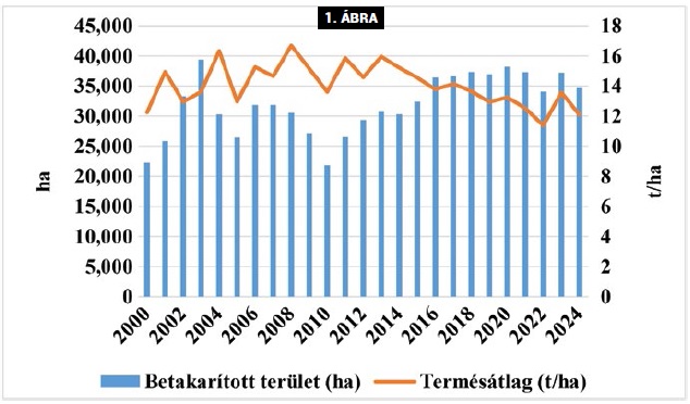 A genotípus és az vízellátás hatása a csemege kukorica termesztésére