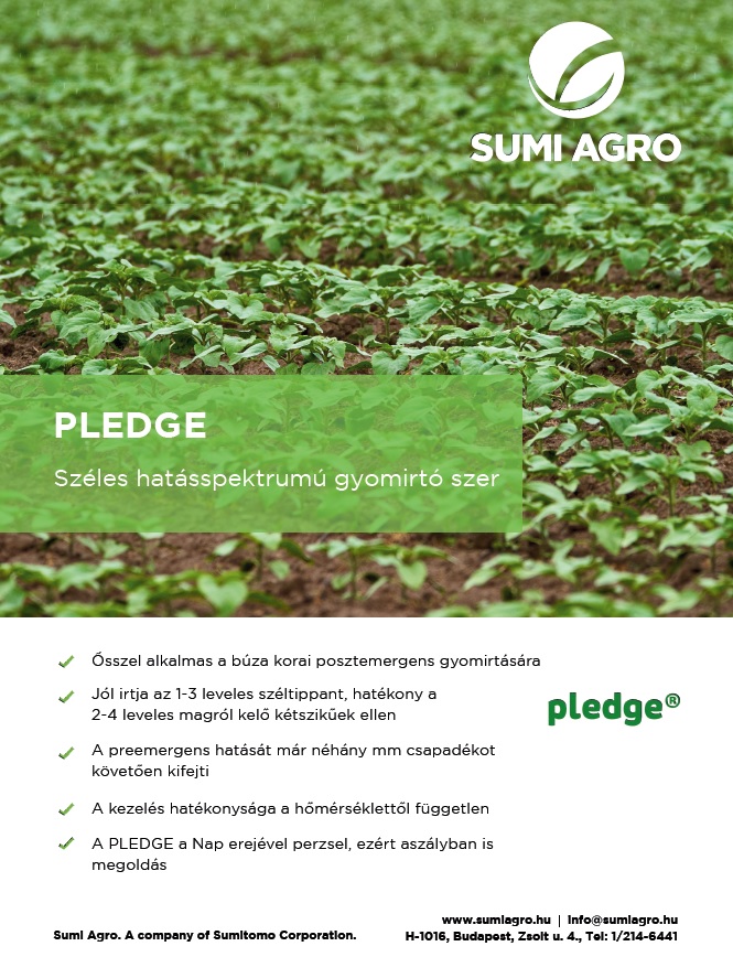 Alapgyomirt&aacute;sban a Pladge az alap