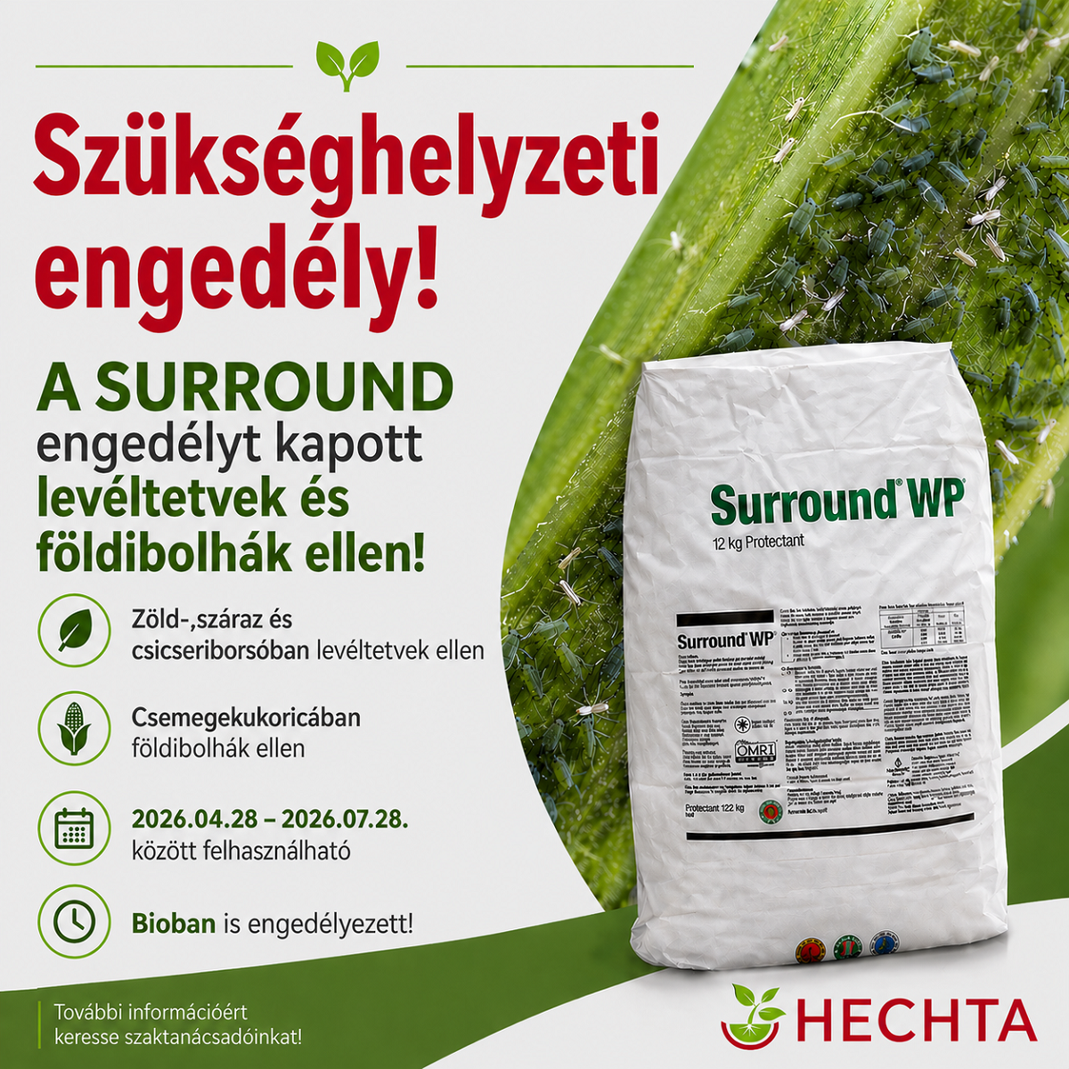 Sz&uuml;ks&eacute;ghelyzeti enged&eacute;ly