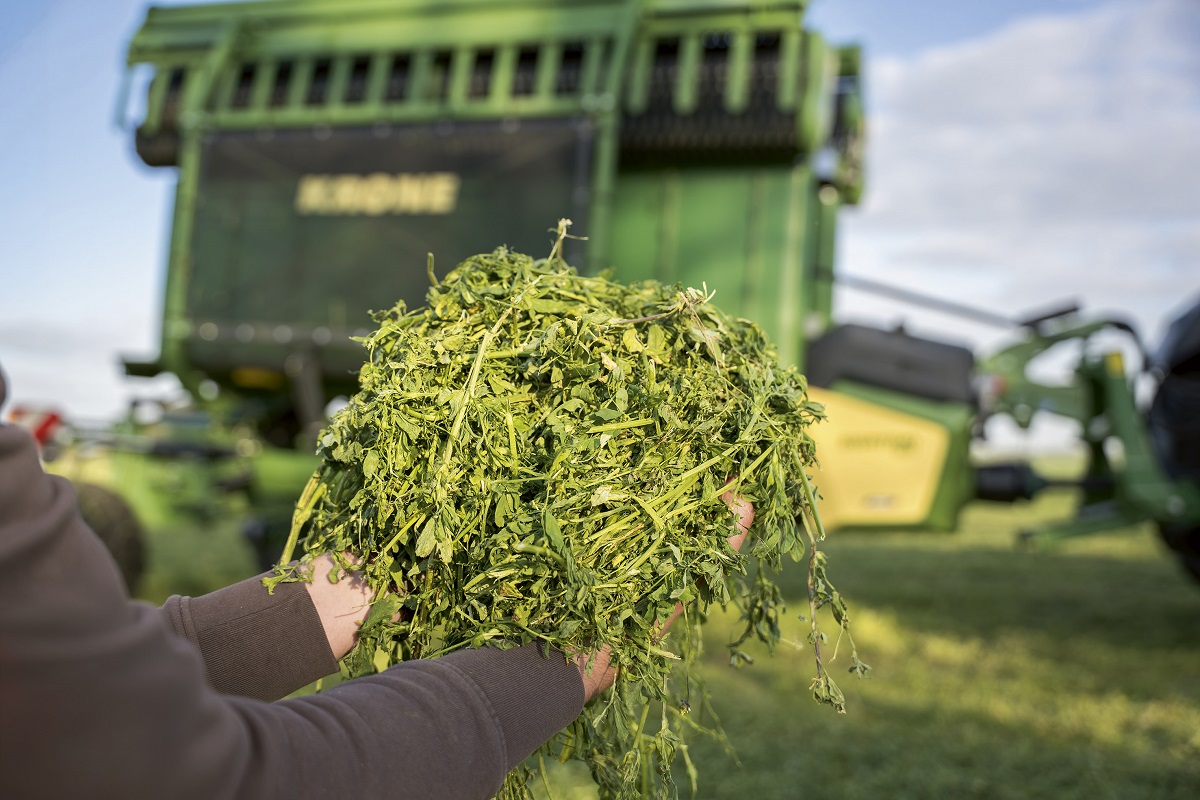 Swativo – A KRONE első szalagos rendképzője
