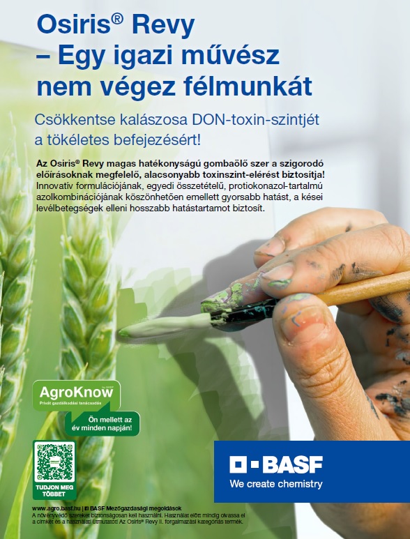 Nitrogén a végén? – Fehérjeépítés a gyakorlatban