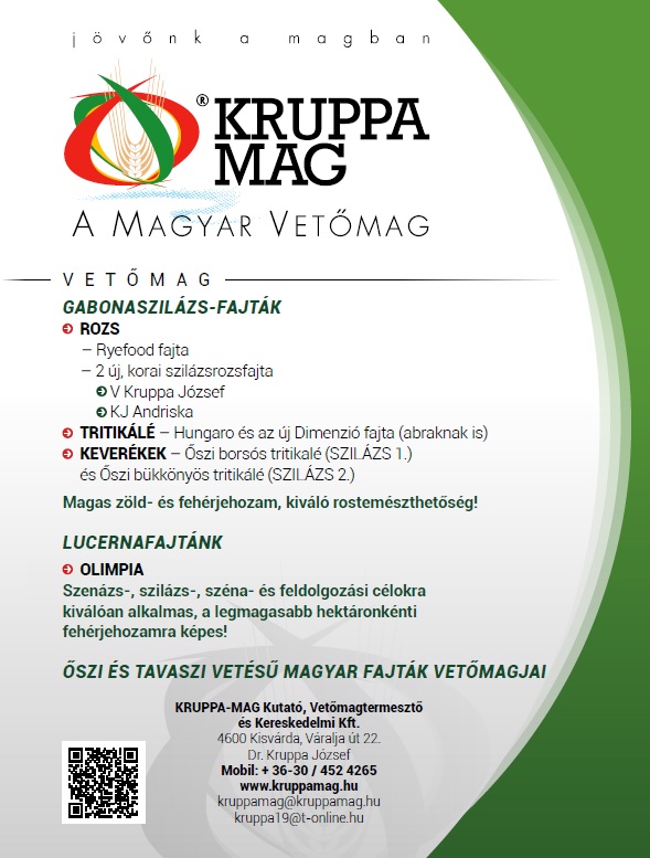 Hogyan tovább magyar búza?