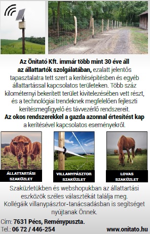 Erdei vadk&aacute;r