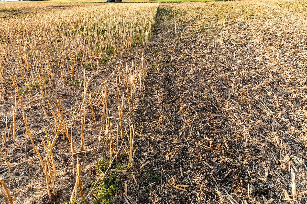 HORSCH Terrano, Tiger &eacute;s Fortis g&eacute;pcsal&aacute;dok