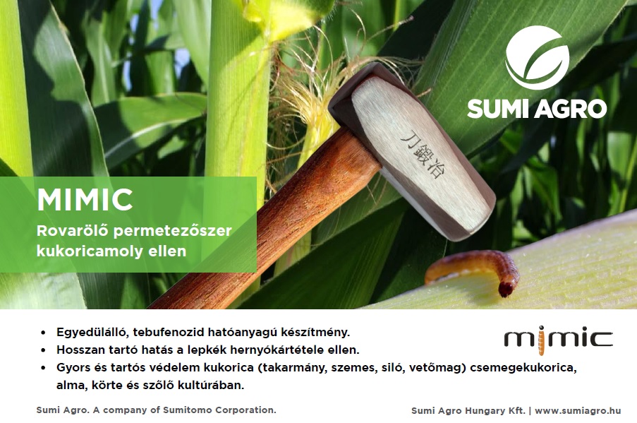 Toxinproblémák és megoldások kukoricában – A mechanikai sérülések utat nyitnak a fertőzéseknek