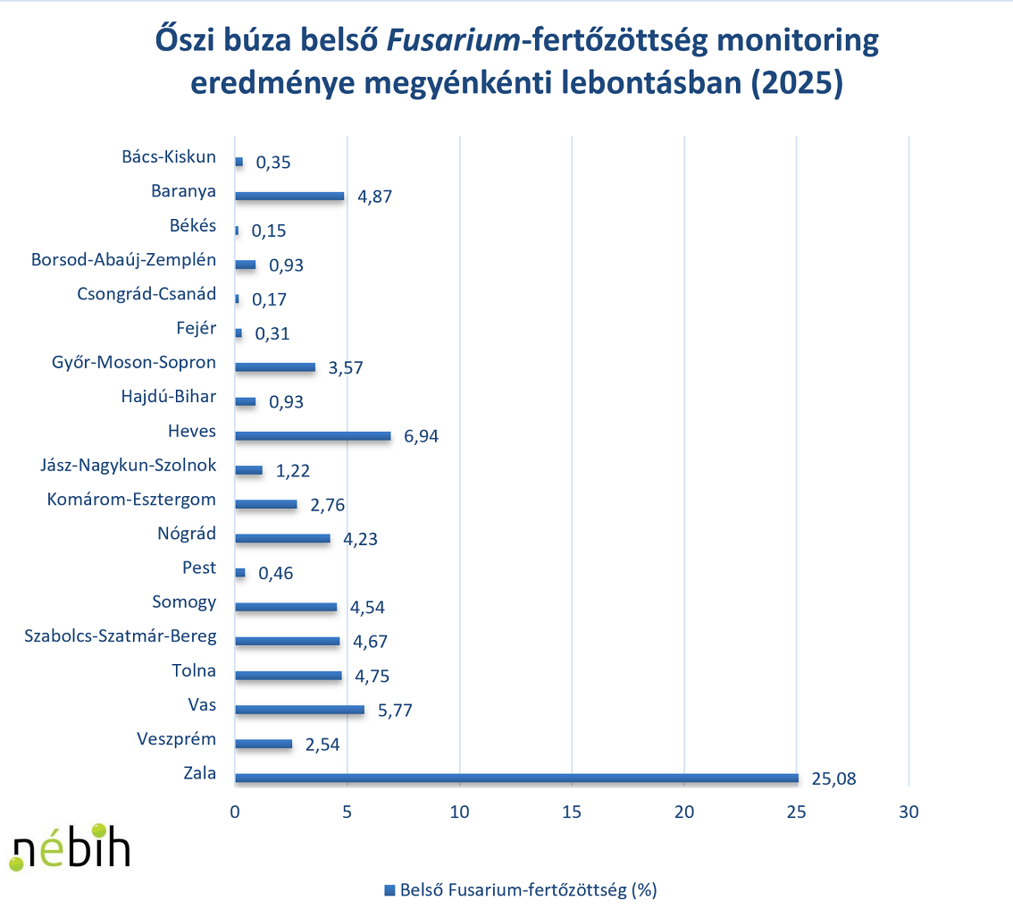 Fusarium a Nébih fókuszában: országos monitoring a biztonságos gabonatermésért