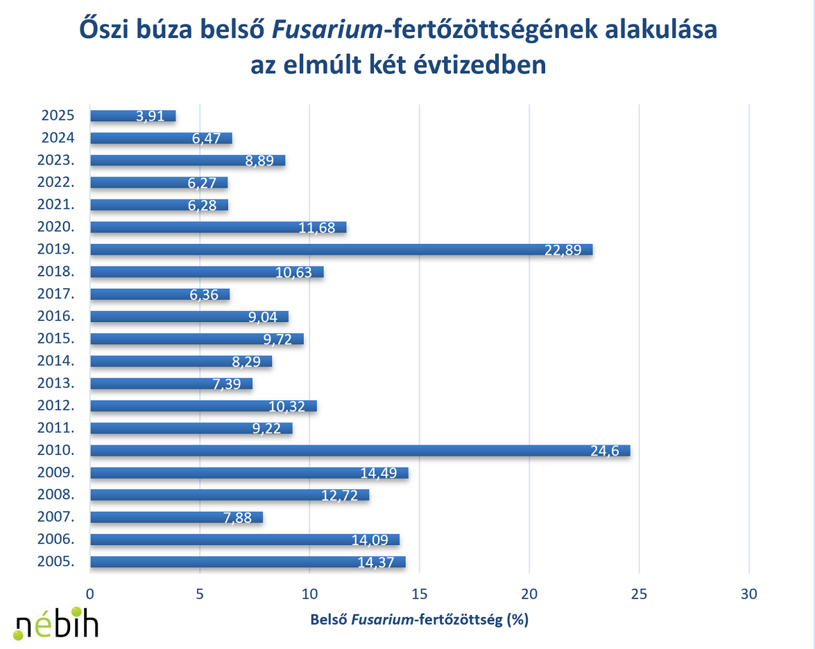 Fusarium a Nébih fókuszában: országos monitoring a biztonságos gabonatermésért