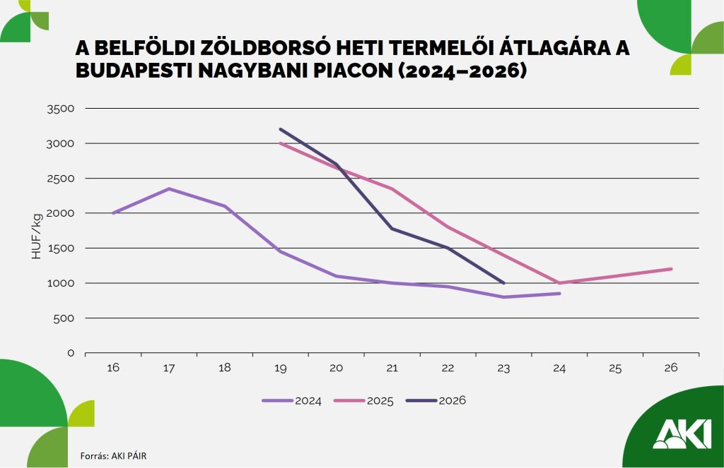 K&ouml;zel harmad&aacute;val nőtt a hazai bors&oacute;term&eacute;s 2025-ben