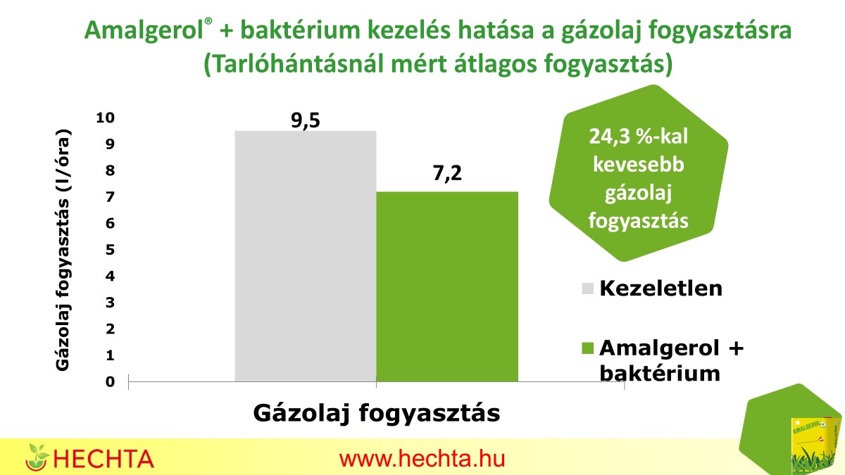 Az eldugott tápanyag