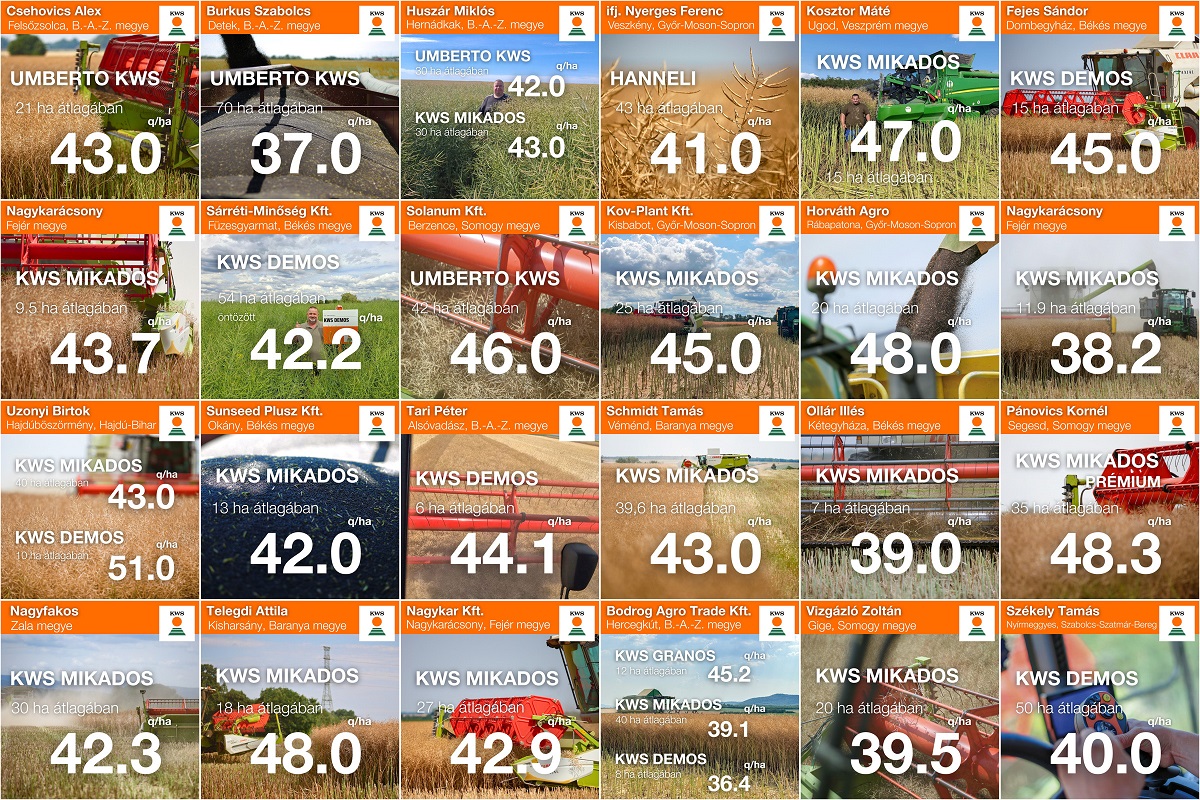 Bizonyít a mérlegen!